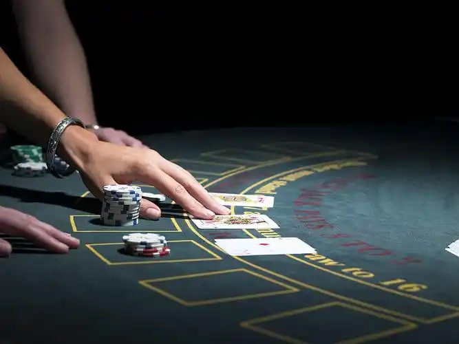 winbet login